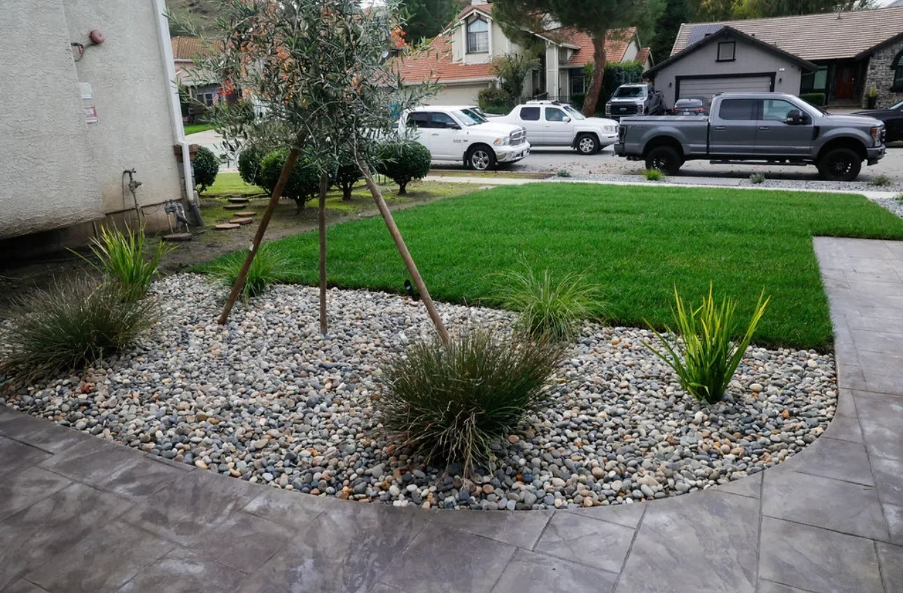 Freshly installed sod lawn with garden planting in a residential yard