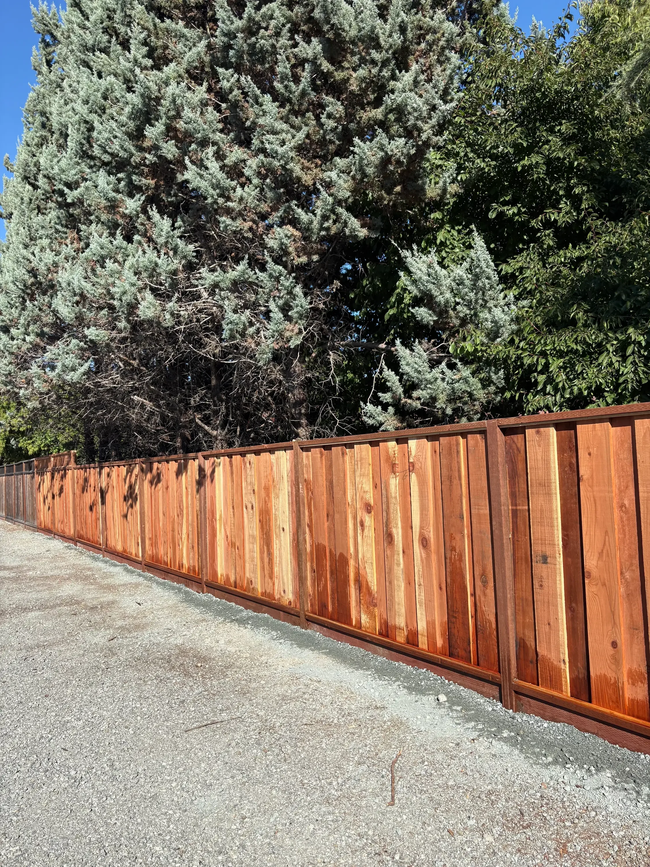 New redwood privacy fence with vertical boards and metal posts along driveway