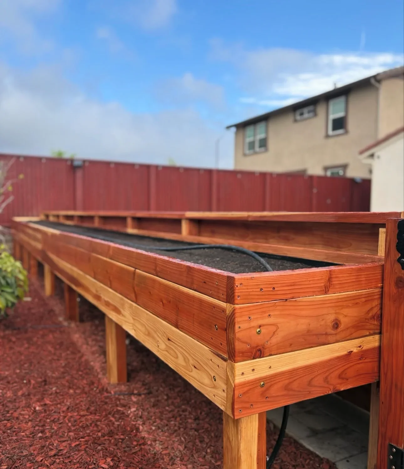 Cedar raised garden beds with landscape fabric and mulch in Morgan Hill backyard