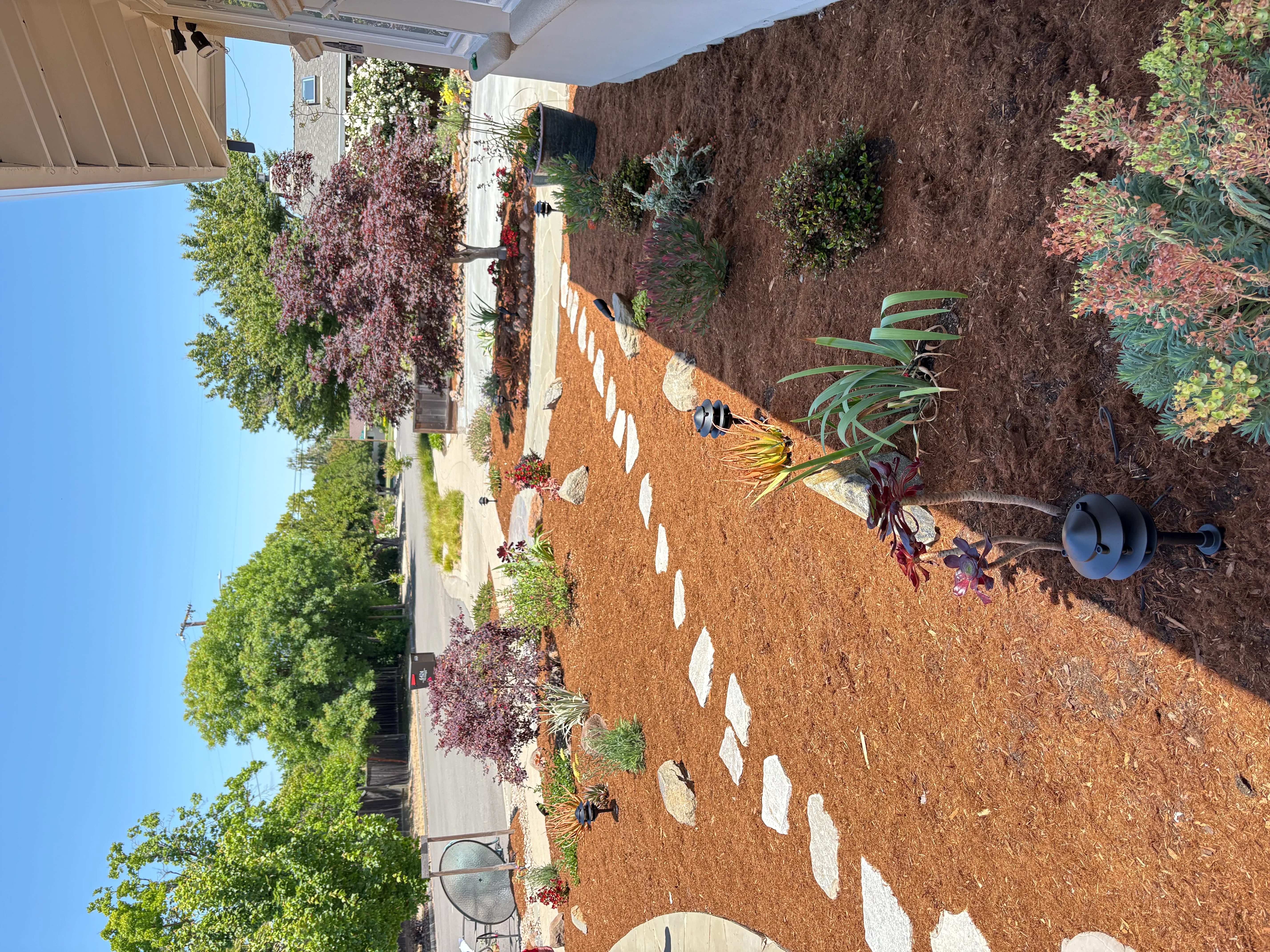 Backyard landscape with cork mulch, white stepping stones, and mixed plantings
